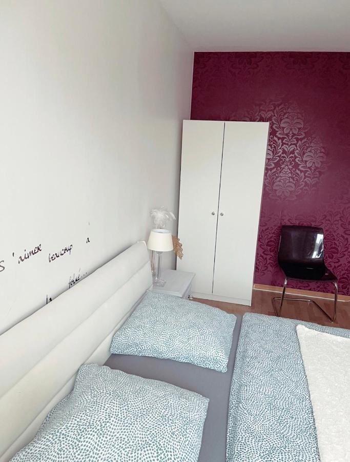Bel Appartement Near Bale Mulhouse Airport Saint-Louis  Exterior foto
