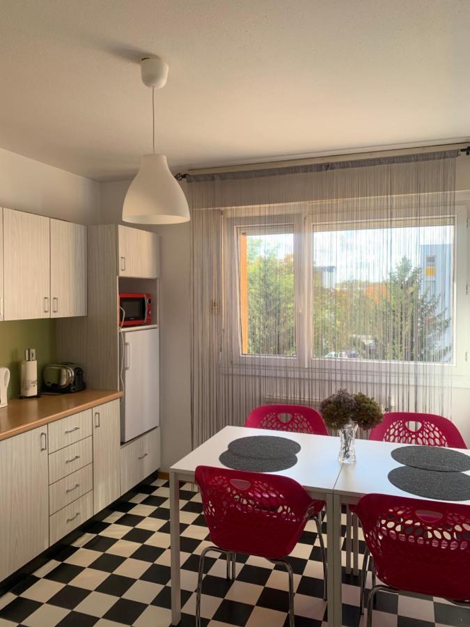 Bel Appartement Near Bale Mulhouse Airport Saint-Louis  Exterior foto